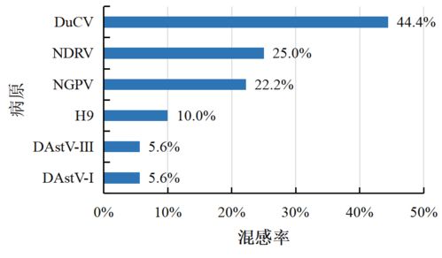 信得科技檢測中心2024年5月禽病檢測報告 聚焦蛋禽、肉禽、水禽健康管理與肝癌血漿microRNA標志物檢測新進展