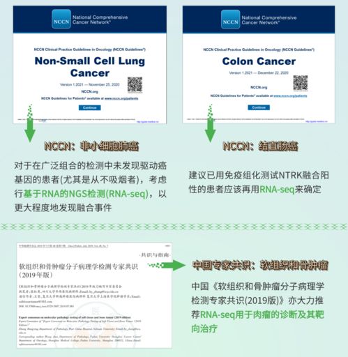 融二為一，精準抗癌 燃石醫學DNA+RNA雙檢測賦能實體瘤患者——論文解讀肝癌血漿microRNA標志物檢測報告系統