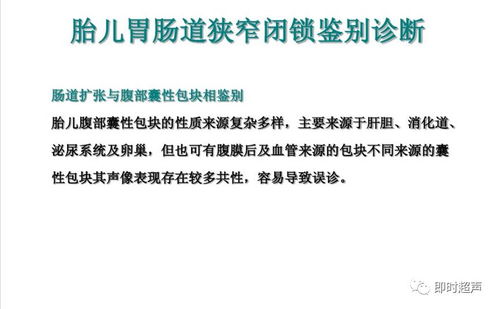 胎兒消化系統超聲檢查與肝癌血漿microRNA標志物檢測報告系統的綜合應用